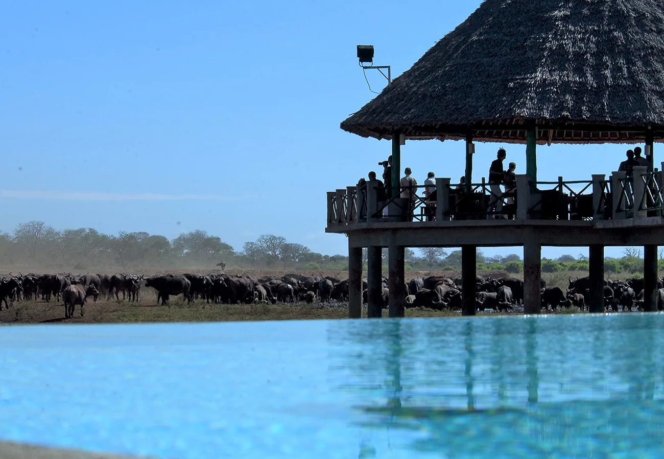 Voi Wildlife Lodge im Tsavo East, Ansicht 6