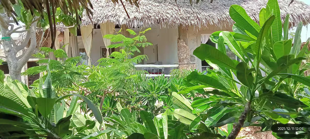 Grüne Außenbereiche der Villa in Watamu